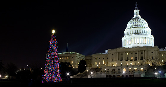 Night scene of a lit Christmas tree in front of the U.S. Capitol Building in Washington, D.C.